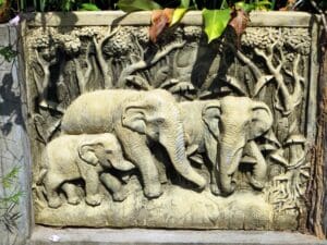 Grüntee Laos Paksong Wu elefanten tea teesorte tee