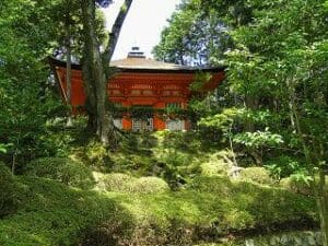 Japan Sencha Ariake bei Teesorte 