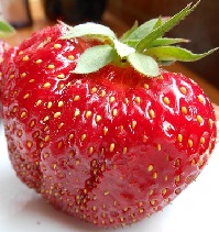 Weisser Tee Romantische Erdbeere