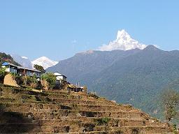 Nepal Shangri La bei Teesorte
