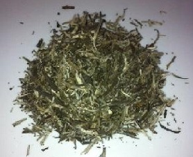 Yin Zhen (Silver Needle) bei Teesorte