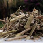 Katzenkralle tea