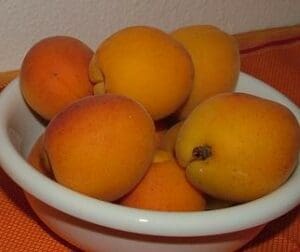 Oolong Apricot Pfirsich bei Teesorte 