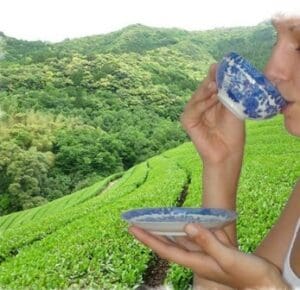 China Golden Pearl bei Teesorte 