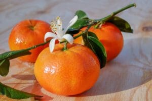 Grüntee Mandarin teesorte grüner tee sencha mandarine mandarinentee