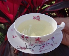 Grüntee Goldener Jasmin bei Teesorte 
