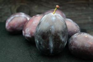 Früchtetee Winterpflaume bei Teesorte