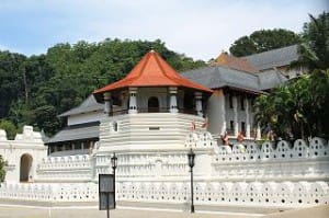 Ceylon Silver Kandy FOP bei Teesorte 