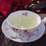 Chanca Piedra Tea bei Teesorte