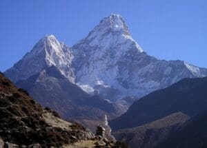 Teesorte Nepal Silver Oolong