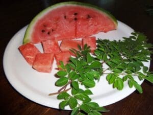 Leckere Moringa Melonen Grüntee Bowle bei Teesorte 