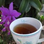 Kräutertee Disminuir Té bei Teesorte
