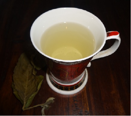 Paraguay Teesorte Guavenblätter Tee