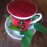 maulbeerblätter_teesorte