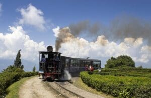 Darjeeling second flush Blatt Mischung Railway