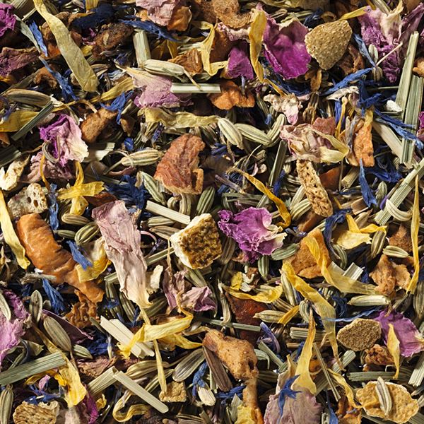 Kräuterteemischung Farbenvielfalt teesorte tee