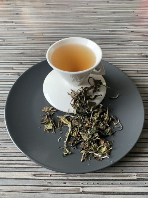 Weißer Tee China Pai Mu Tan k.b.A. teesorte