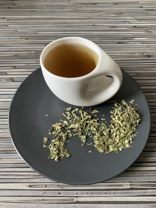Zitronenverbene geschnitten zitronentee verbene teesorte tee