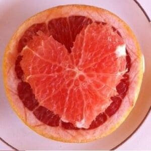 Eistee mit Orange Grapefruit teesorte früchtetee tee