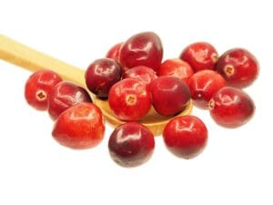 Früchtetee Völlig Verrückt teesorte tee cranberries biotee