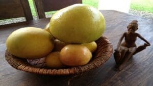 Sorbet aus Grüntee mit Zitrusfrüchten bei Teesorte - Tee