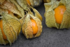 Früchtetee Phyrange physalis tee teesorte