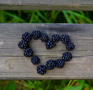 Früchtetee Brombeer Fliederbeer teesorte tee eistee