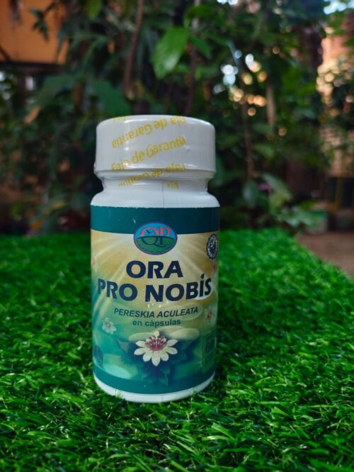 ora pro nobis kapseln in flasche