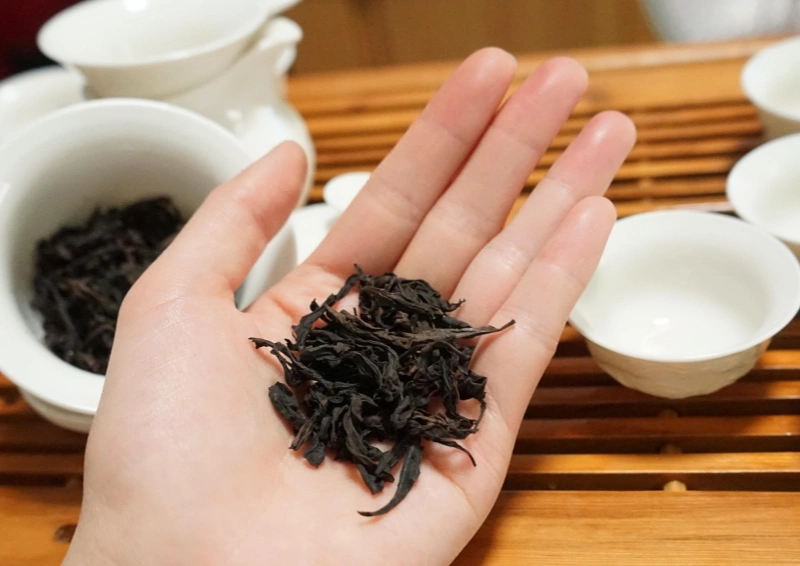 Assam Bherjan TGFOP lose wird auf einer Hand gezeigt.