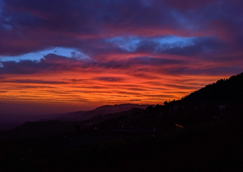 Ceylon Ahinsa OP Abendstimmung Teefeld