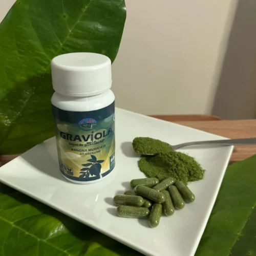 Graviola Blaättern gemahlen auf weissem Teller, Kapseln und Pulver dekoriert auf frischen Graviolablättern