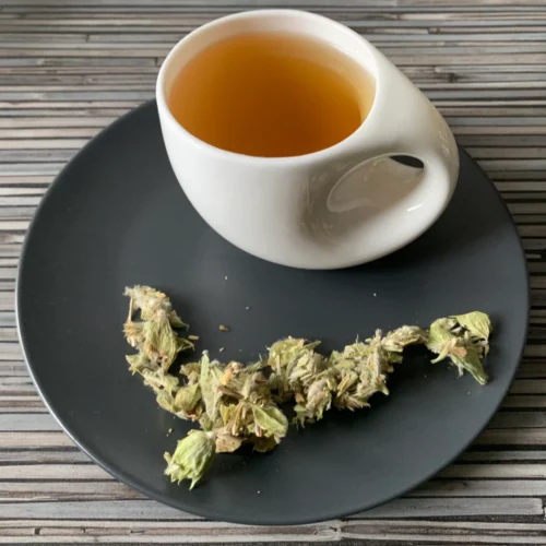 Griechischer Bergtee in weißer Tasse mit warmem Aufguss, auf grauem Teller mit losem Tee, arrangiert auf gestreiftem Holzhintergrund