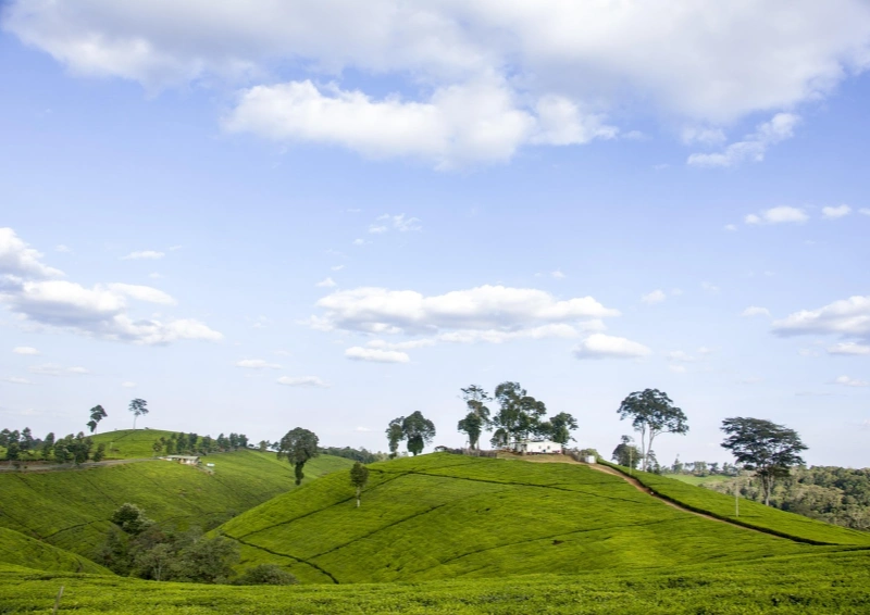 Kenia Marinyn GFBOP Landschaft Afrikas