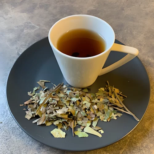 Elegante Darstellung von Mangoblätter Tee geschnitten auf einem Teller mit Teetasse.