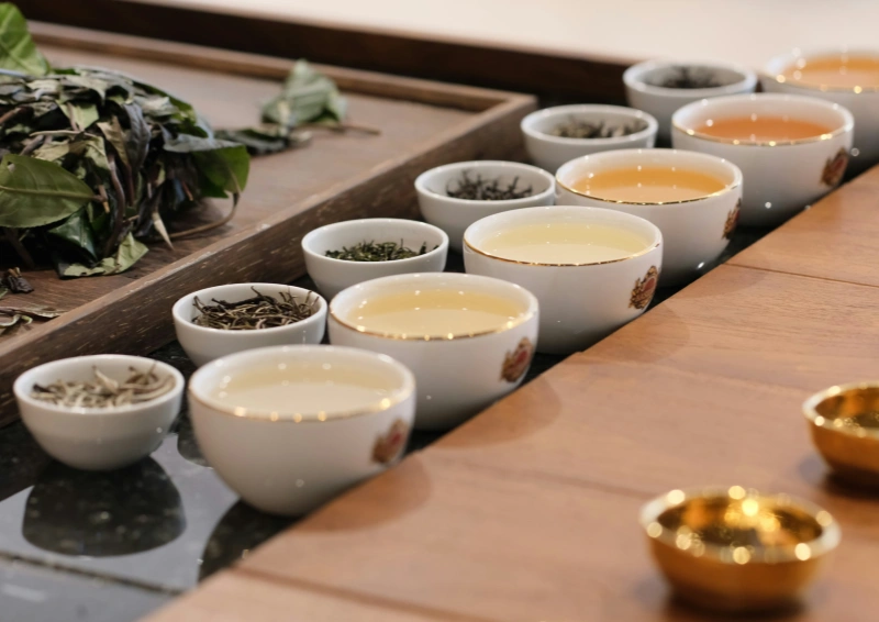 China Grüntee zur Verkostung vorbereitet.