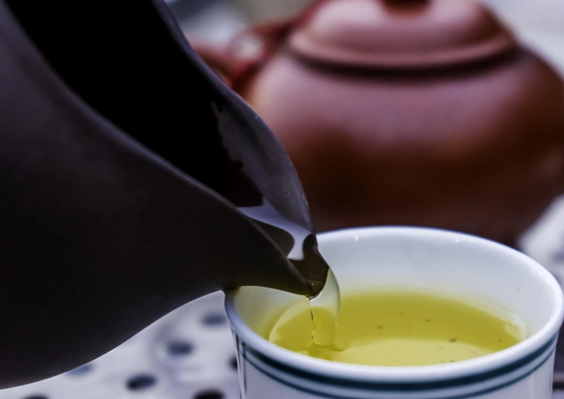 China Oolong Pouchong Wangjia eingeschnekt gelb in der Teeschale.