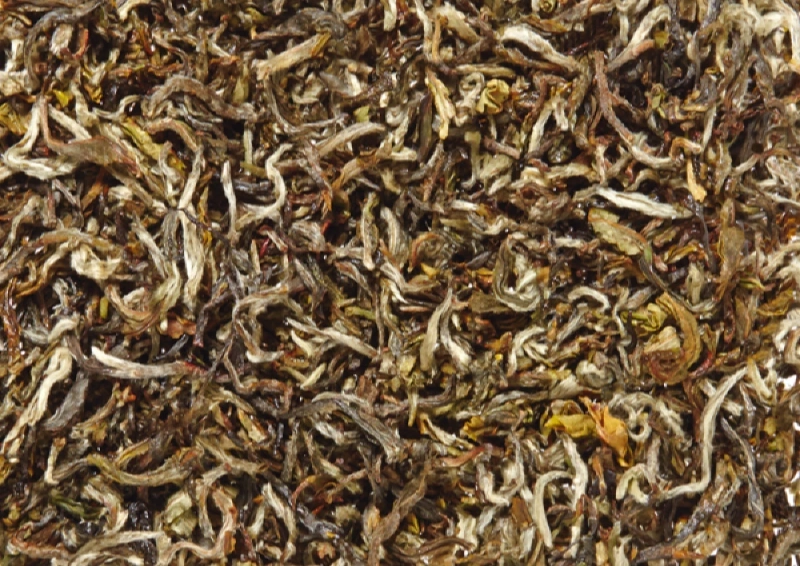 Grüner Tee Leopard Snow Buds loser grüner Tee.