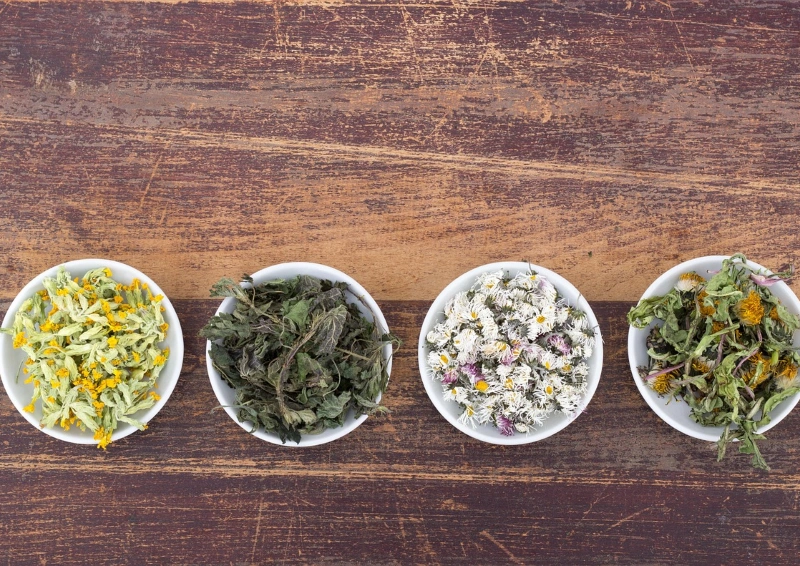 Monokräuter und Kräutertees – vier weiße Schalen mit getrockneten Kräutern.