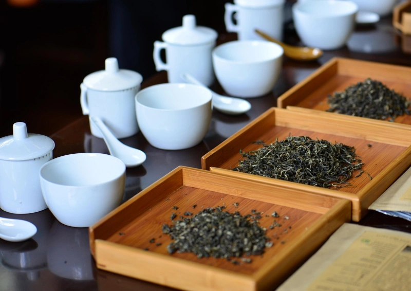 Mehrere weiße Teetassen und lose Teeblätter nebeneinander in einer professionellen Verkostungsanordnung