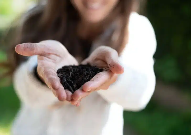 Natürliche Gartenerde als Kompost für Teeblätter da Tee kompostierbar ist