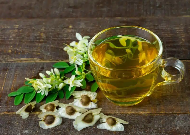 Moringa Tee Zubreiten lose Samen, Blätter und Blüten neben einer Tasse Moringatee