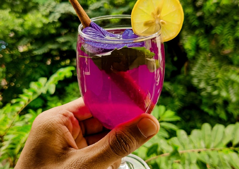 Clitoria ternatea lila im Glas durch Zitronensaft