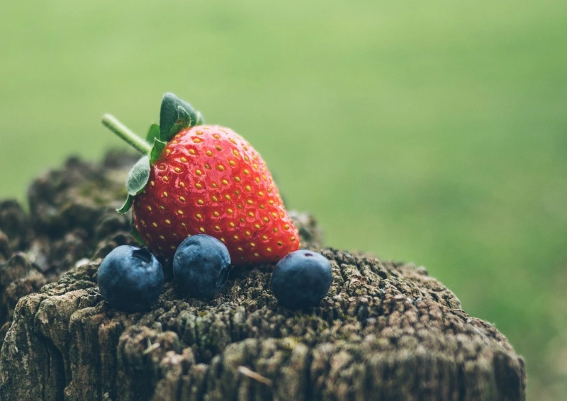 Früchtetee Waldfrüchte Spearmint ist mit frischen Waldbeeren
