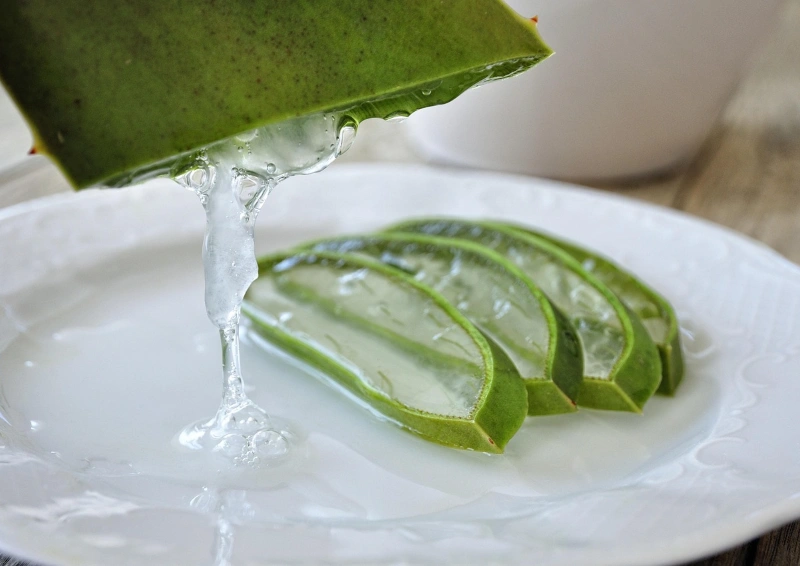 Rotbuschtee Aloe Vera Wellness Greenbosh  Aloe Vera gemischt