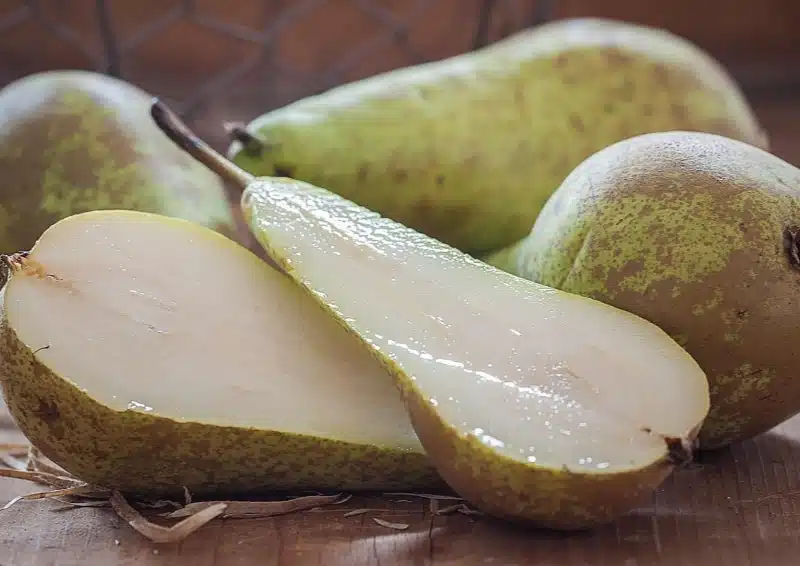 Früchtetee Apfel Birne mit frischen geschnittenen Birnen