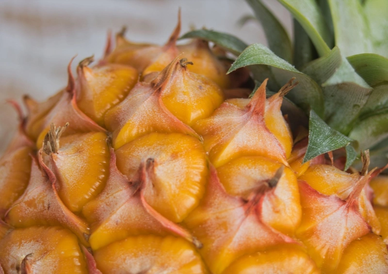 Grüntee Sencha Ananas Maracuja mit Ananas verfeinert