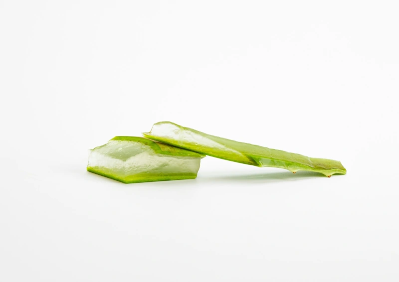 Grüntee Sencha Aloha Vera Granatapfel Note mit saftiger Aloe Vera