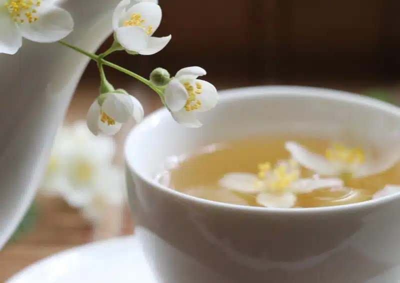 Jasmintee mit Jasminblüten in einer Teetasse