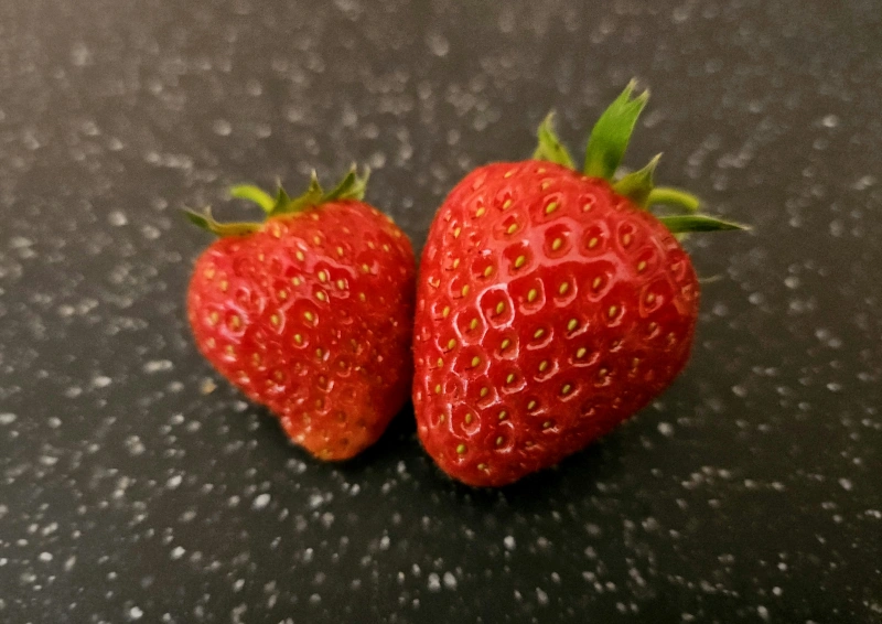 Erdbeer Scheiben in der Teesorte Schwarztee Erdbeer Toffee