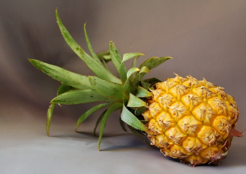 Früchtetee Bahia Tropical  ist mit frischer Ananas veredelt